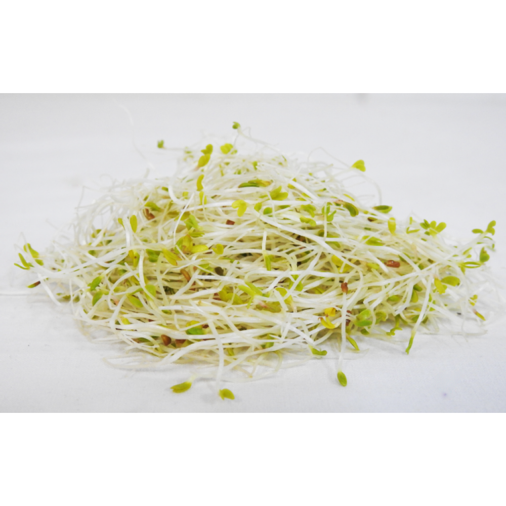 Alfalfa Sprouts 120g